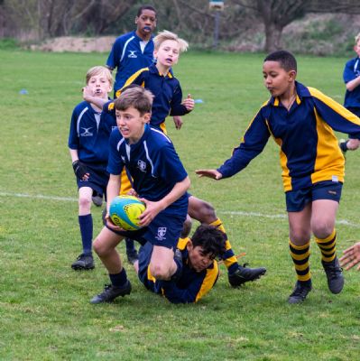 Year 7 Rugby Tournament  - March 2022
